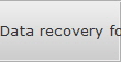 Data recovery for Houston data